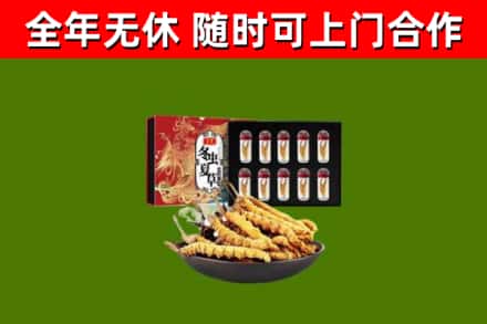 沙河口回收冬虫夏草价格